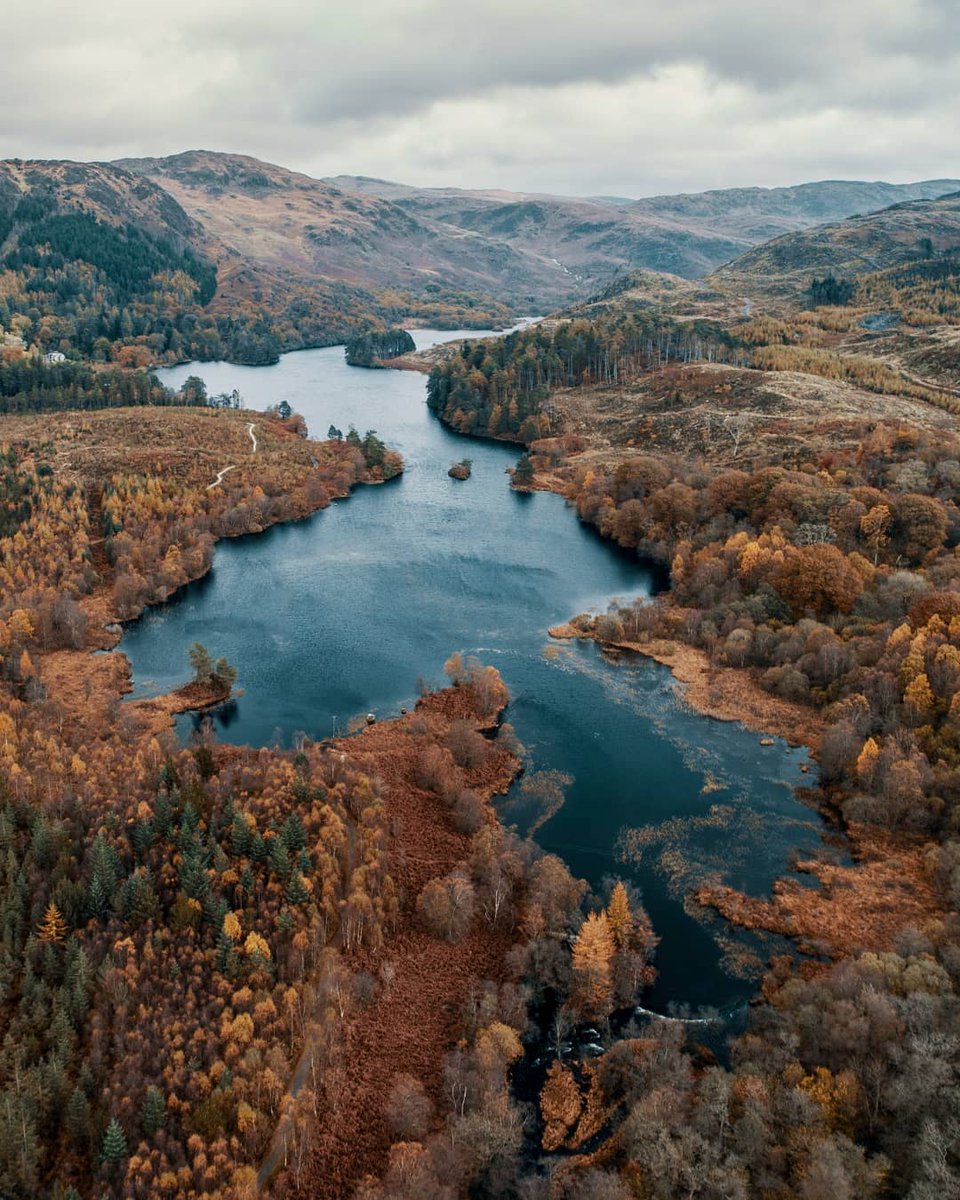 VisitScotland's tweet photo. You can't beat a stunning autumn scene in #Scotland! 🍂 Who wishes they were taking in this view right now? 🙋‍♀️😍

📍 Loch Trool, Galloway Forest Park 📷 IG/peterdinsmore #UNESCOTrail https://t.co/C1DFrY8qQj