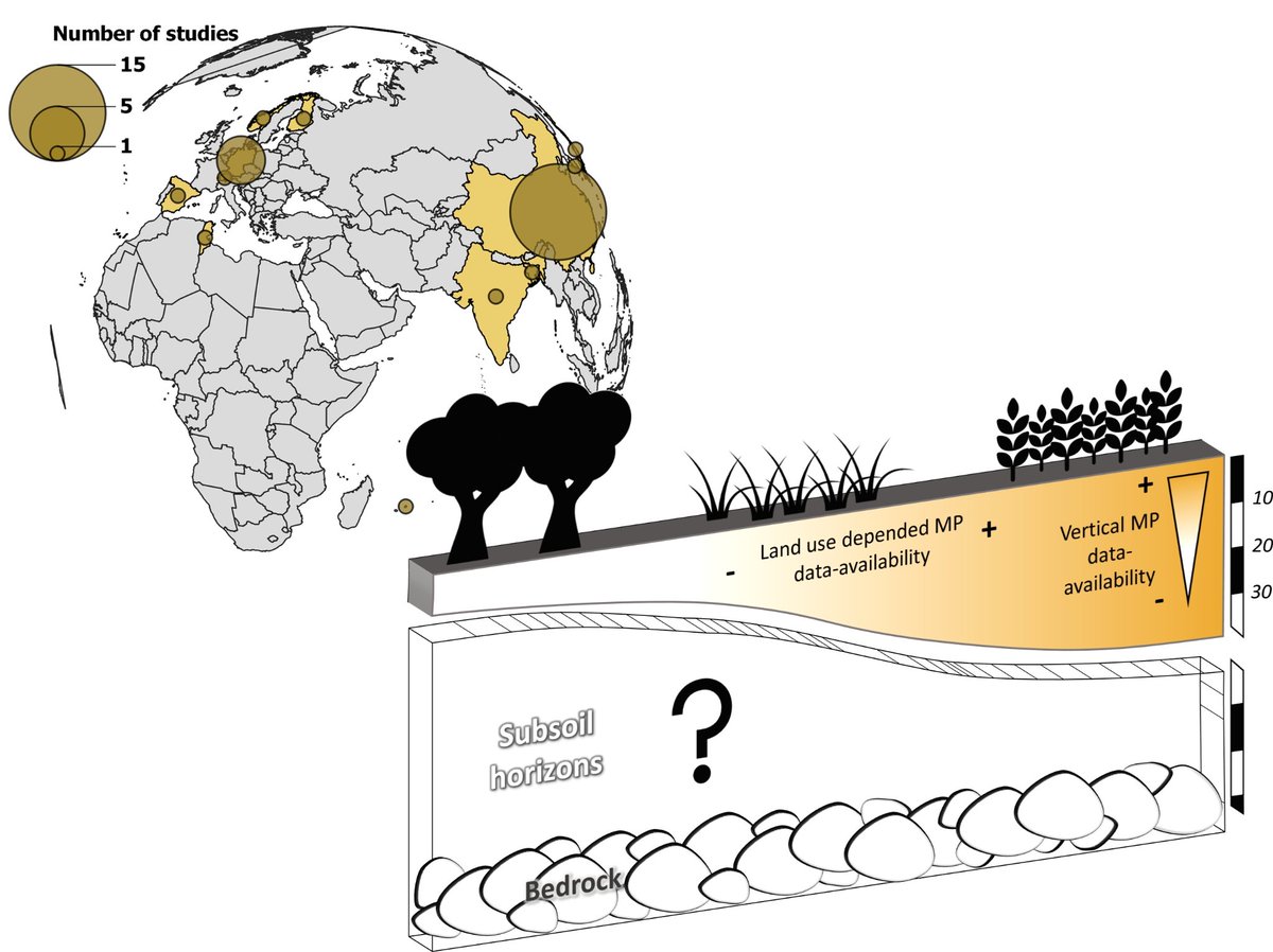 Collin_J_Weber's tweet photo. #Microplastics are found everywhere on earth, but that's not the whole story for #soils, where evidence for important soils, climate zones and land uses is missing so far.

Reader more about in https://t.co/zwTTZsSz7f  #MicroplasticsM #researchTUDa https://t.co/fFBeQNflBt