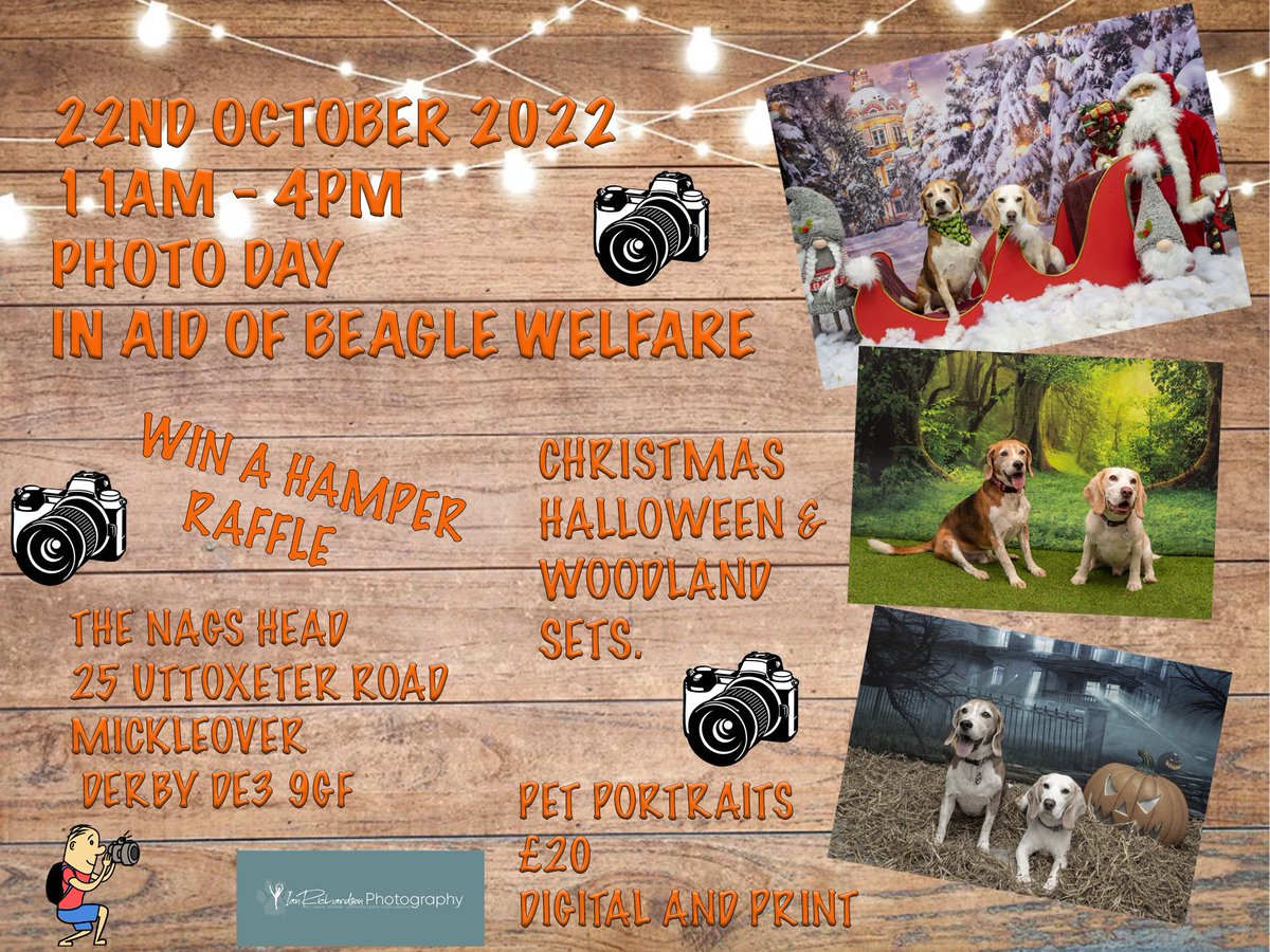 Beagle Welfare tweet media