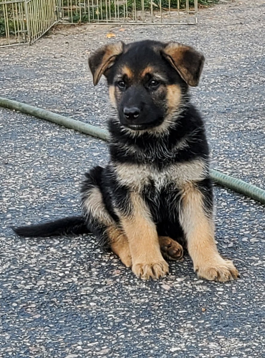 Crypto Batman tweet media