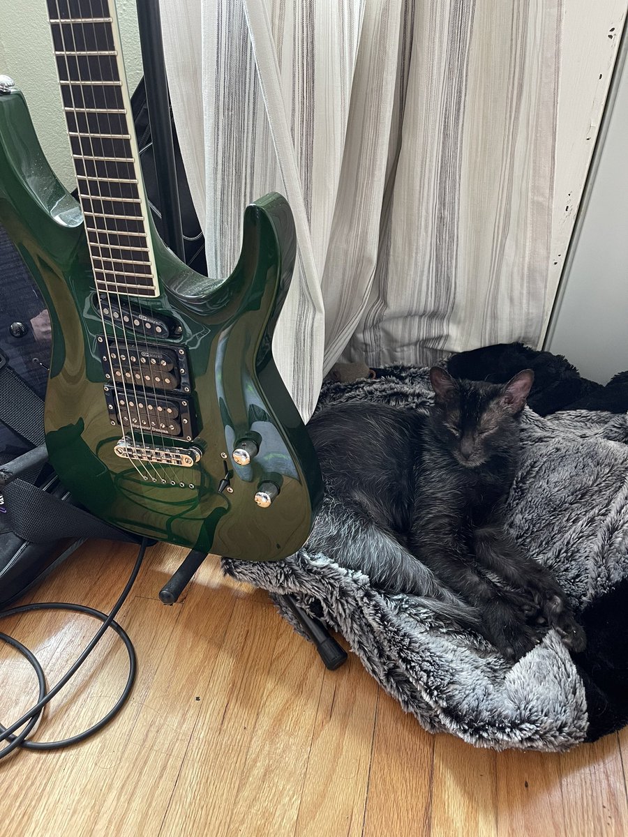 6 months later, still her favorite spot 😇🖤

My lil gargoyle 🥹