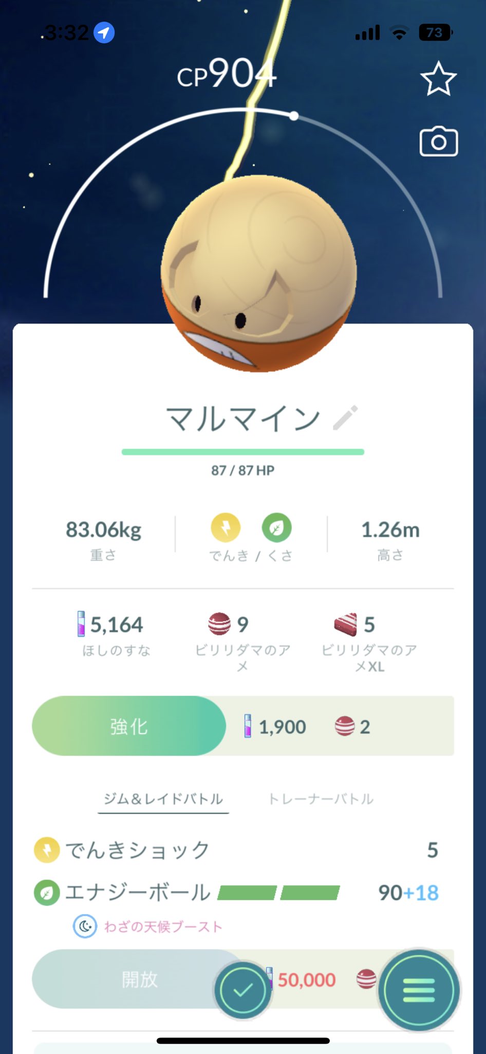 マルマイン様 御専用になります Zedprotection Com