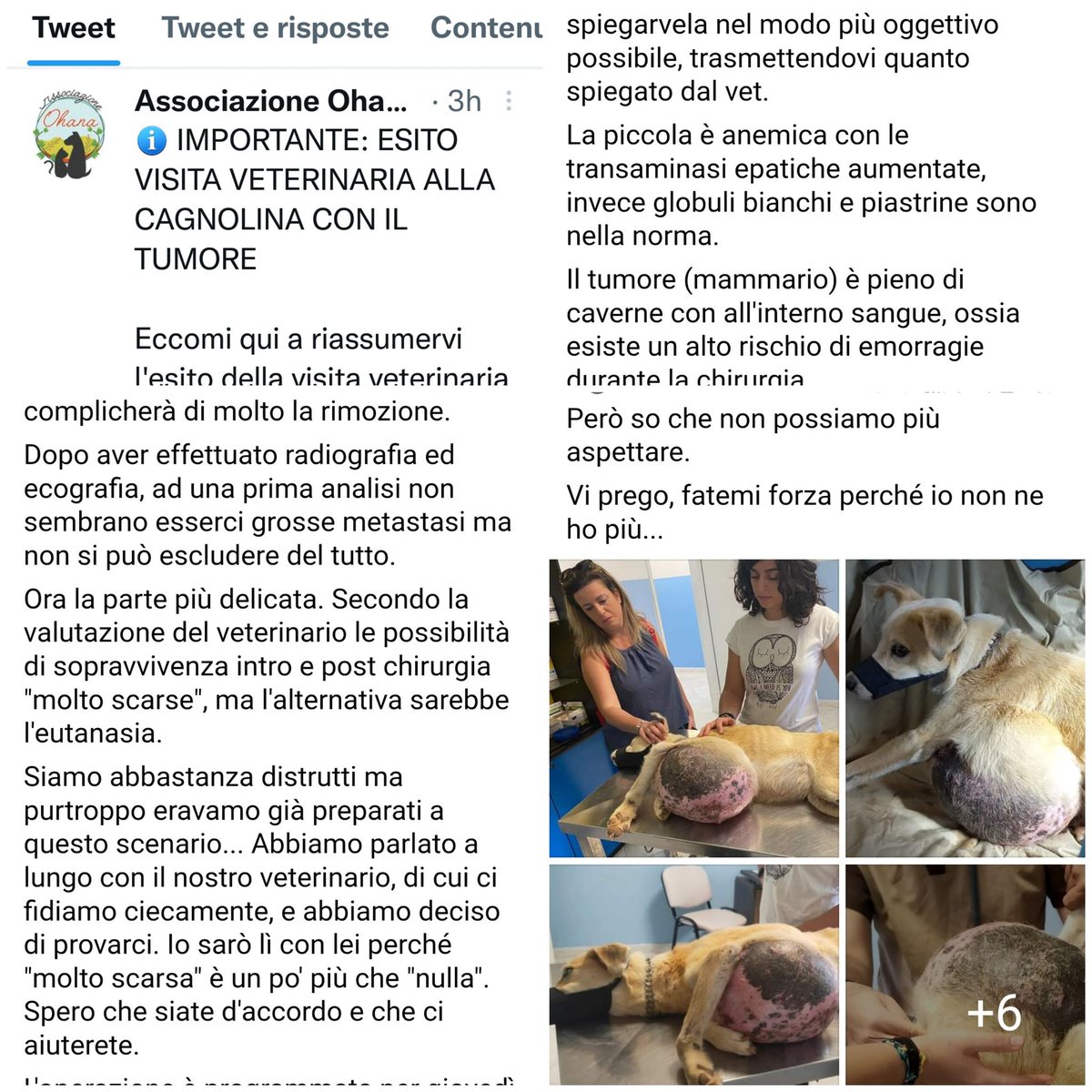 Emilystellaemi2's tweet photo. CORAGGIO TESORO❤ SIAMO CON TE.❤❤❤ https://t.co/s82ZVuRgsC