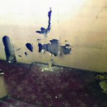 ツイートに含まれる画像