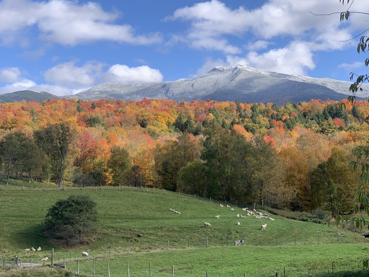 mattalltradesb's tweet photo. Snoliage as viewed from Underhill, Vermont today #vtwx ⁦@NWSBurlington⁩ ⁦@VermontJen⁩ ⁦@BenMyNBC5⁩ ⁦@TylerJankoski⁩ ⁦@SurfSkiWeather⁩ ⁦@JimCantore⁩ ⁦@ericfisher⁩ https://t.co/rhNDqu8PEV