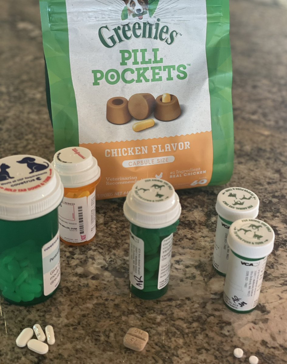 MomsofFurries's tweet photo. 3 out of 3 medicated dogs in our family agreeโฆ @Greenies pill pockets are the BEST!๐คฃ๐คฃ #NotSponsoredButShouldBe https://t.co/l4EwfFbiqv