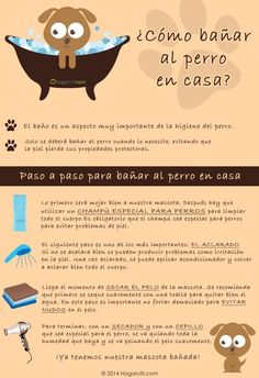 elmorenofiesta's tweet photo. Ya lo se jajaja https://t.co/GDqgStC5wG
