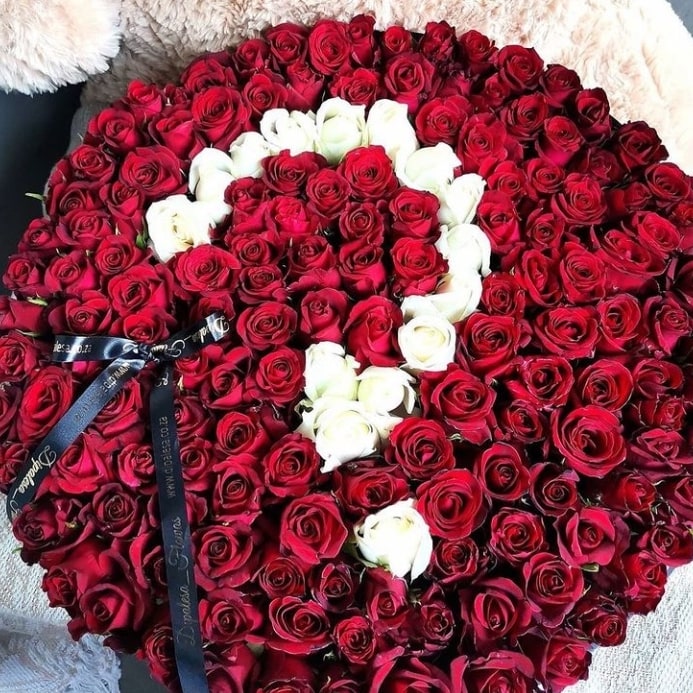 dipalesa_flowas's tweet image. We still make the M-e-a-n-e-s-t #boxedroses in Gauteng

@dipalesa_flowas
WhatsApp : wa.me/message/P5BZG3…
Website : dipalesa.co.za