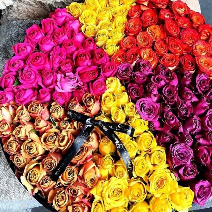 dipalesa_flowas's tweet image. We still make the M-e-a-n-e-s-t #boxedroses in Gauteng

@dipalesa_flowas
WhatsApp : wa.me/message/P5BZG3…
Website : dipalesa.co.za