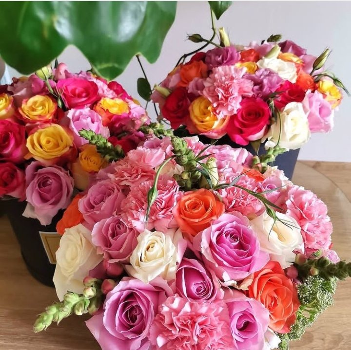 dipalesa_flowas's tweet image. We still make the M-e-a-n-e-s-t #boxedroses in Gauteng

@dipalesa_flowas
WhatsApp : wa.me/message/P5BZG3…
Website : dipalesa.co.za