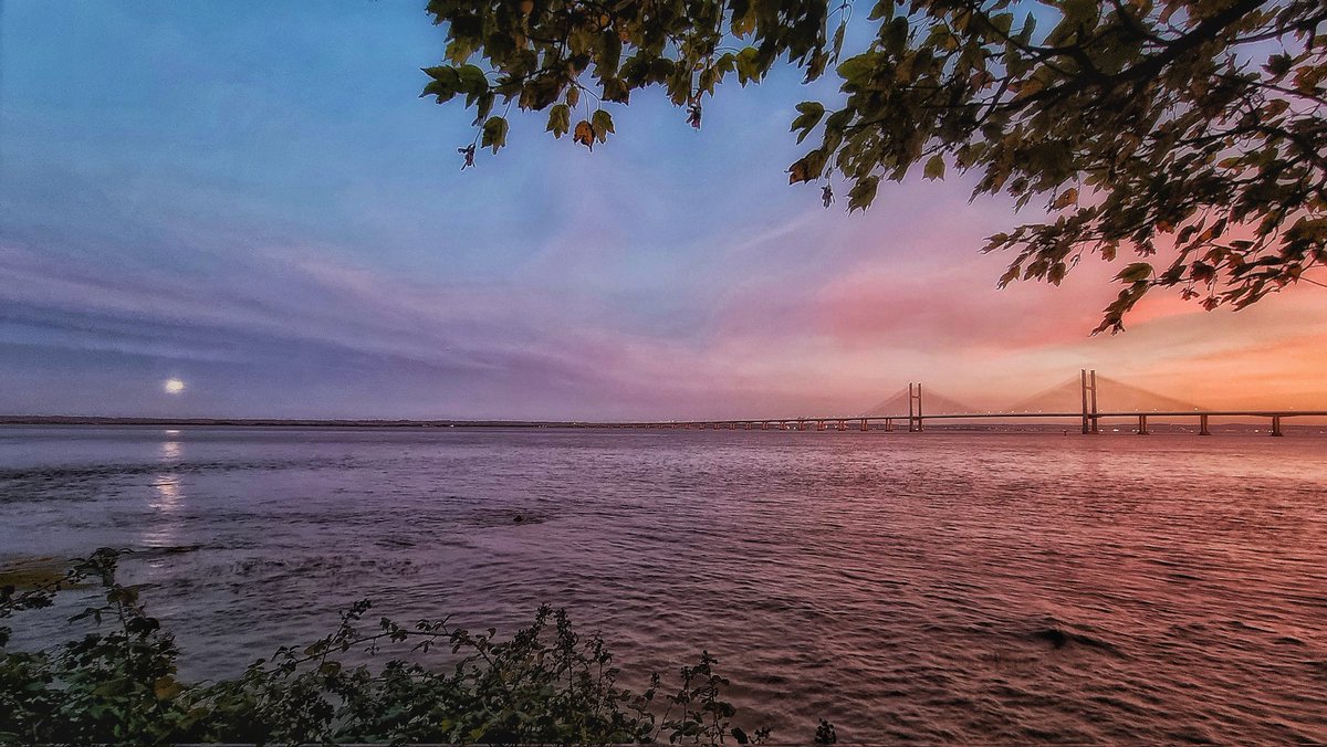 🌺Catherine Mayo🌺 on Twitter "The perfect end to the day. Catching the