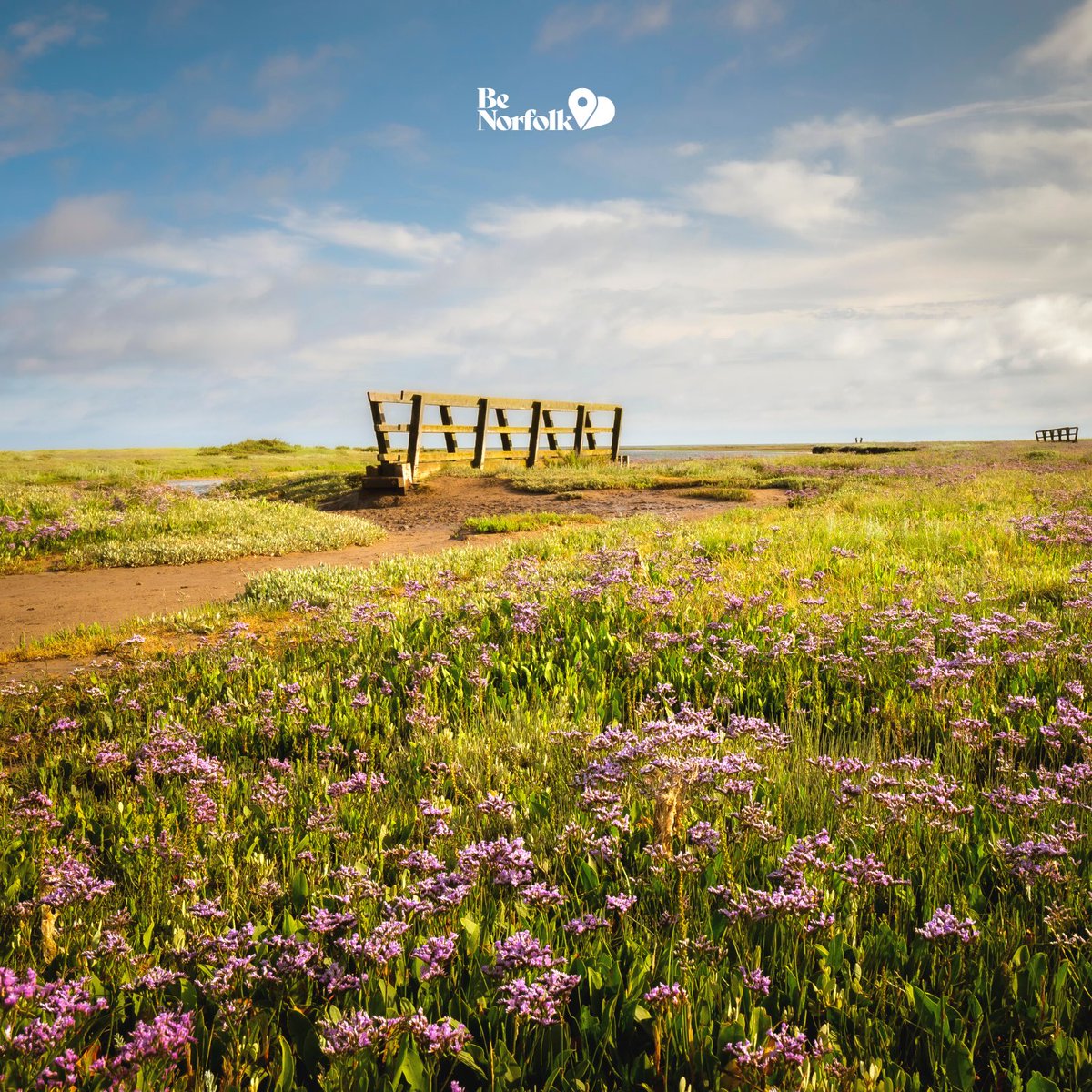 visitnorfolk's tweet photo. #FindYourNew Story on your next adventure walk through Norfolk 🚶
Discover the magical Stiffkey salt marshes, a hidden gem in North Norfolk!
🌐 https://t.co/pMTfML4McA
#BeNorfolk #VisitNorfolk https://t.co/X7fxkOwcOw
