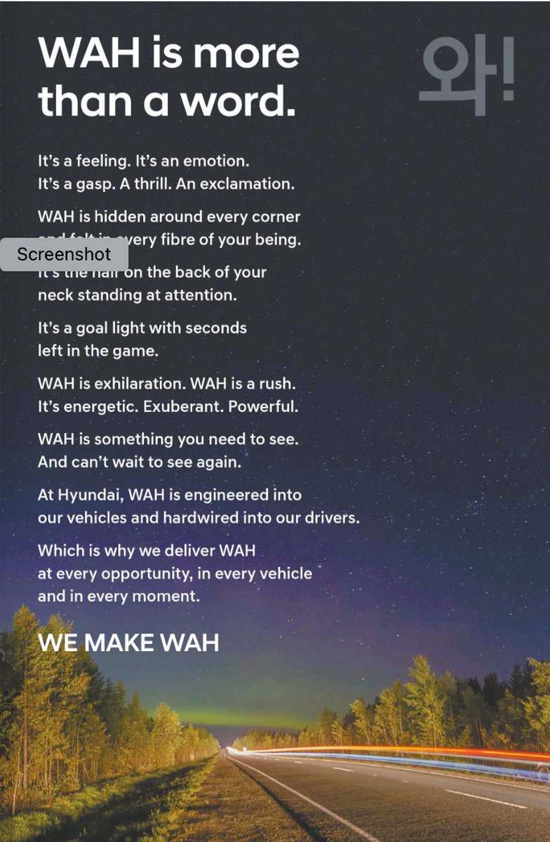 Hey, <a href="/Hyundai_Global/">Hyundai Worldwide</a> - if you need a family as spokespeople, here we are! #Hyundai #WahIsMoreThanAWord #WahIsMe #WahIsMyFamily