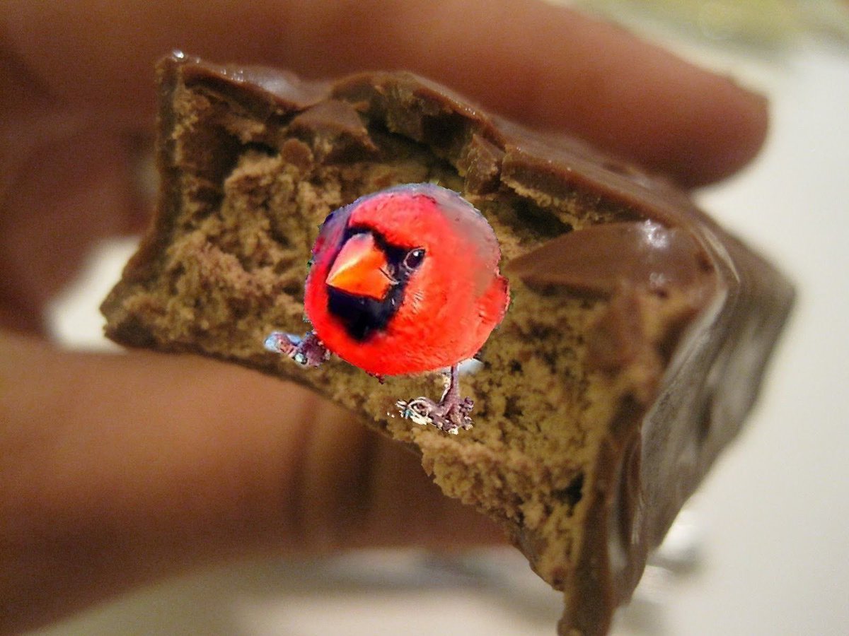 Matt Powers, PhD tweet media