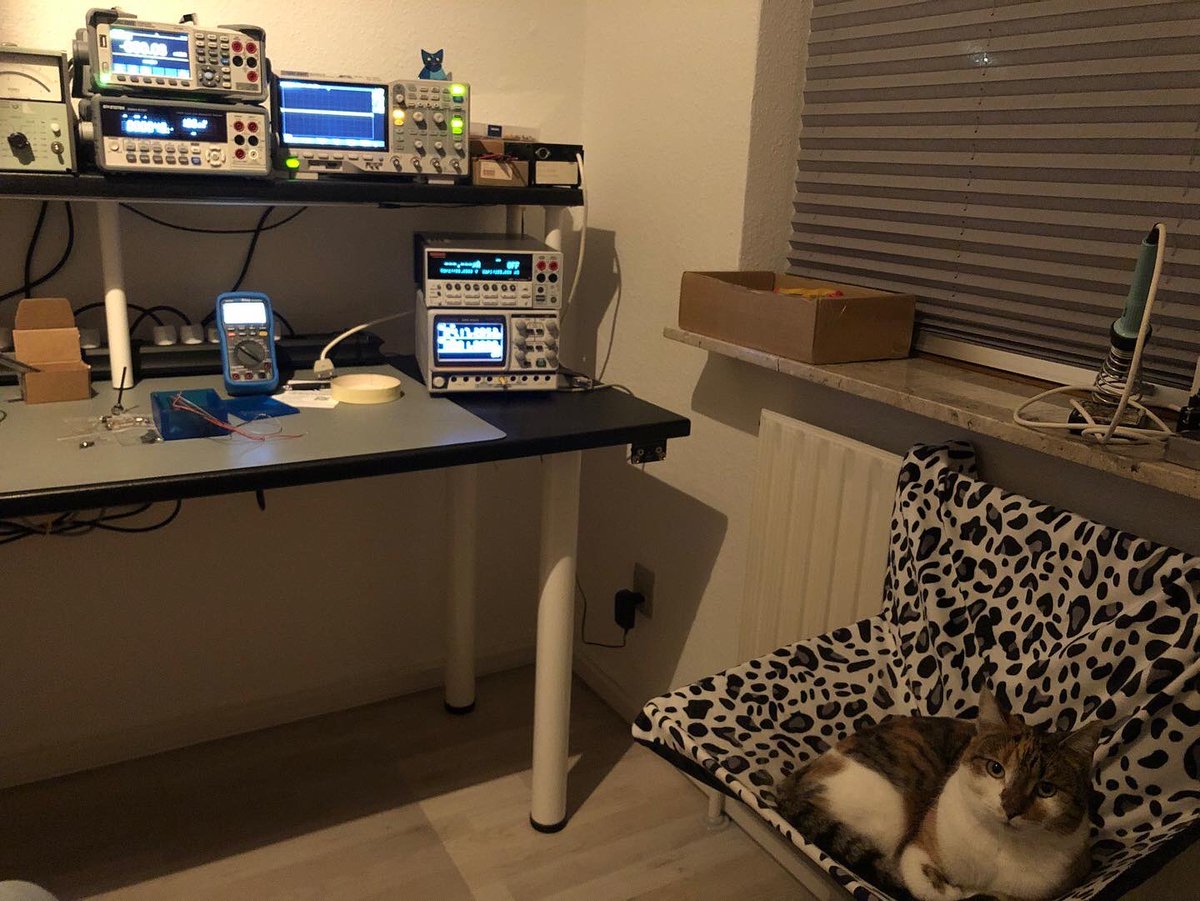 oz1lqo's tweet photo. When you enter the lab… 🐱♥️☺️ #labcat #kitty #hamradio #electronics #rfengineer #electronicsengineering https://t.co/f3jqrsdMTE