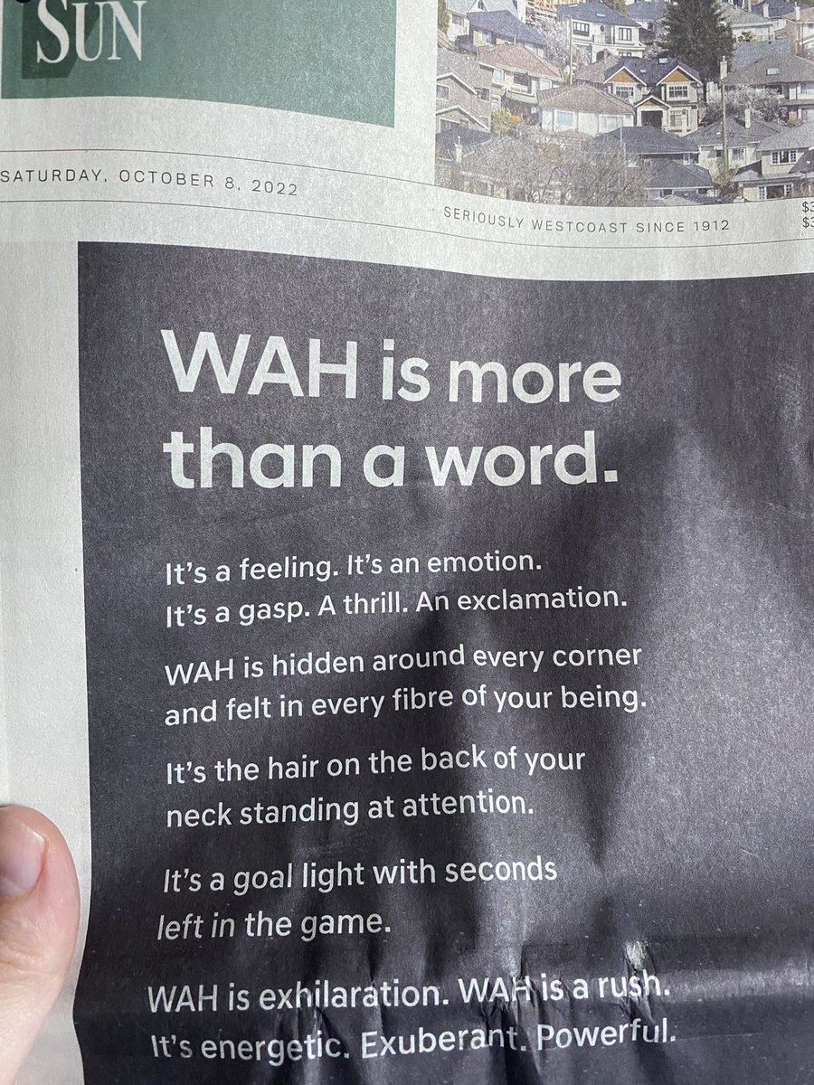 I do not recall authorising this marketing expense
(Dan)