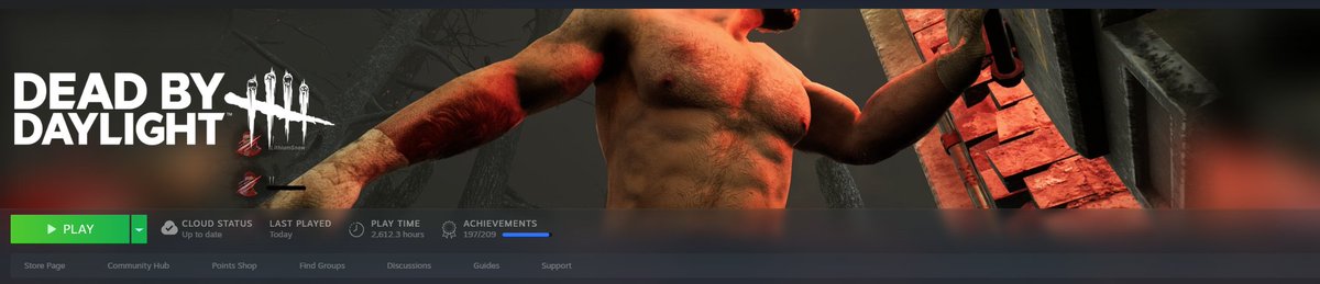 Damn, look at all those hours I have on DbD😳