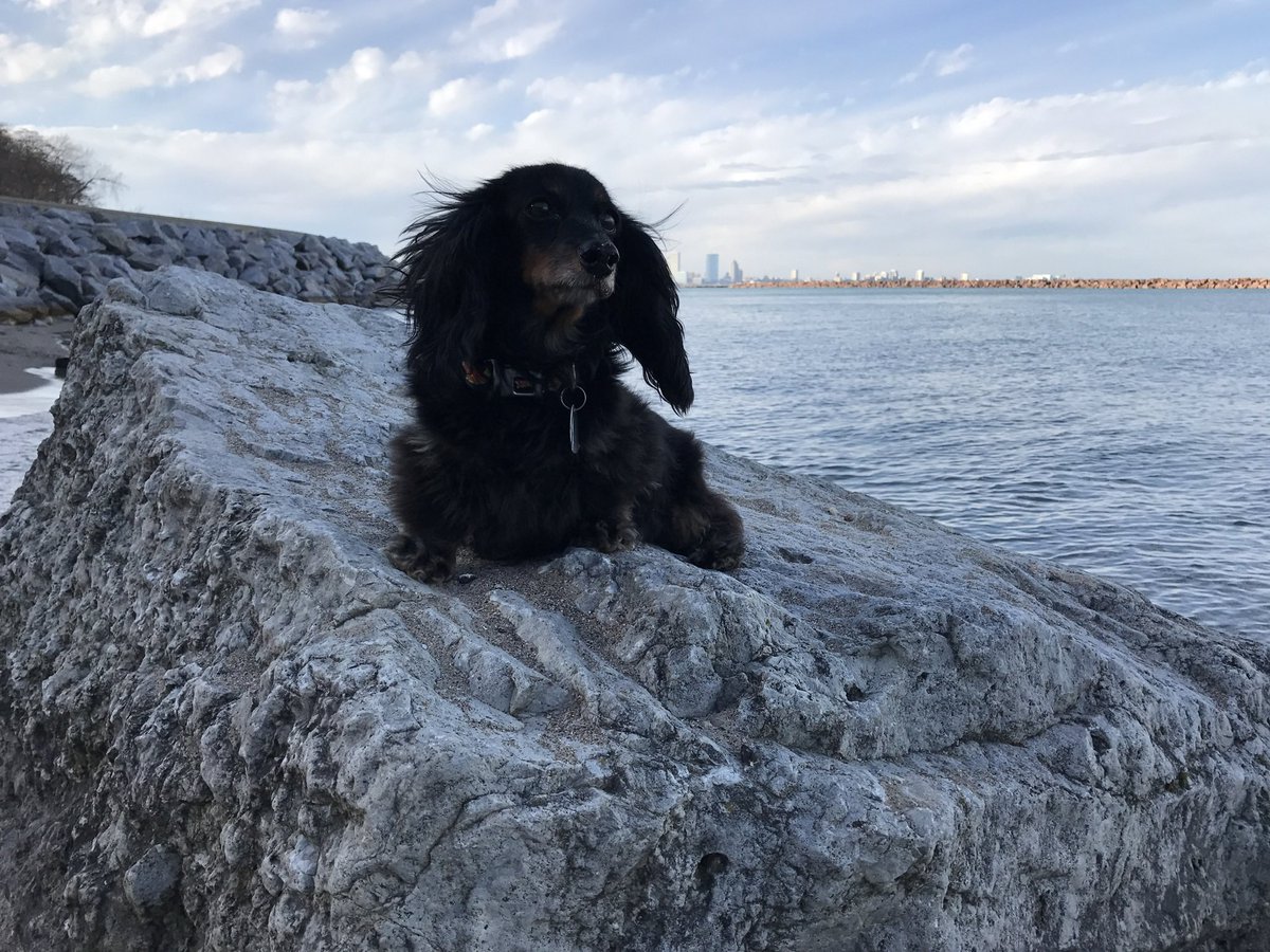 slacker. tweet media