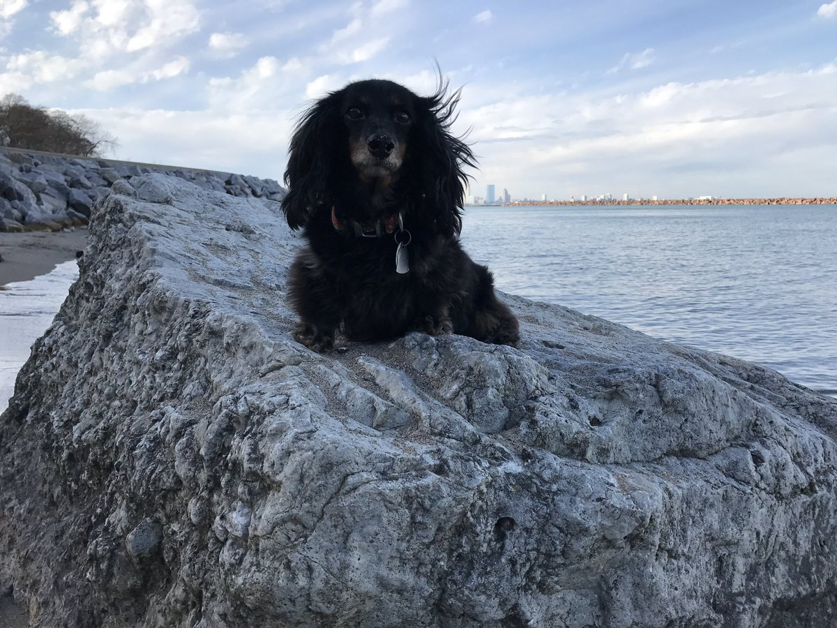 slacker. tweet media