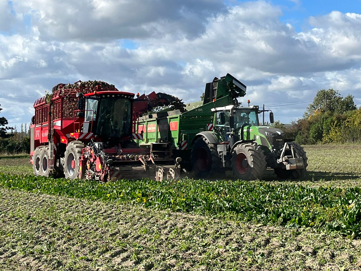 atcochrane's tweet photo. Visited the impressive #sugarbeet harvesting operations of @sjsmithfarms with @BritishSugar team @Novembergirls @PFishpool, Steph Hendy &amp; @JessiCochrane
Thanks for sharing your experiences, always rewarding to be on farm visiting growers!
@IllovoSugarGrp https://t.co/biJw1UnpyD