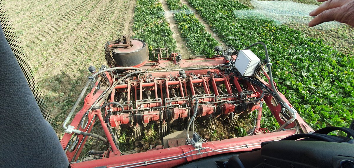 Visited the impressive #sugarbeet harvesting operations of <a href="/sjsmithfarms/">Simon Smith</a> with <a href="/BritishSugar/">British Sugar</a> team <a href="/Novembergirls/">Tessa Seymour</a> <a href="/PFishpool/">Paul Fishpool</a>, Steph Hendy &amp; <a href="/JessiCochrane/">Jessica Joubert</a>
Thanks for sharing your experiences, always rewarding to be on farm visiting growers!
<a href="/IllovoSugarGrp/">Illovo Sugar Africa</a>