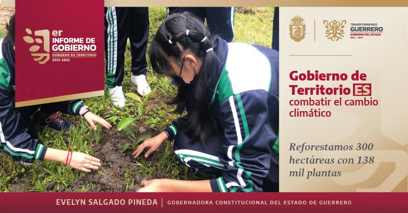 #GobiernoDeTerritorio ES atender la realidad del cambio climático para preservar el medio ambiente. A través de distintas dependencias, la administración de la gobernadora <a href="/EvelynSalgadoP/">Evelyn Salgado Pineda</a> logró la siembra de 138 mil plantas reforestando así 300 hectáreas en Guerrero.