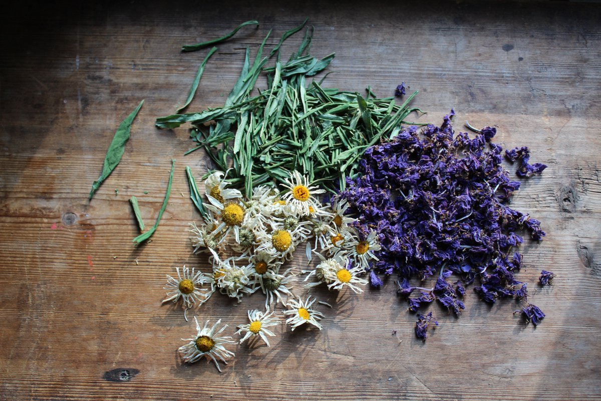 HerbSociety1933's tweet photo. It's the time of year that you might be thinking about drying and storing your herbs. In our online course you'll learn everything you need to know to do this properly!

Sign up here: https://t.co/SHHoe4fOES

#HerbalEducation #Herbeducation #IntoductiontoHerbs #Herbclass https://t.co/vsWiTqhl3r