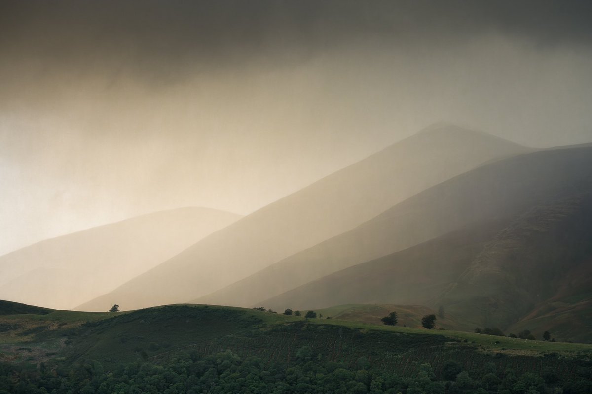 Stuart McGlennon tweet media