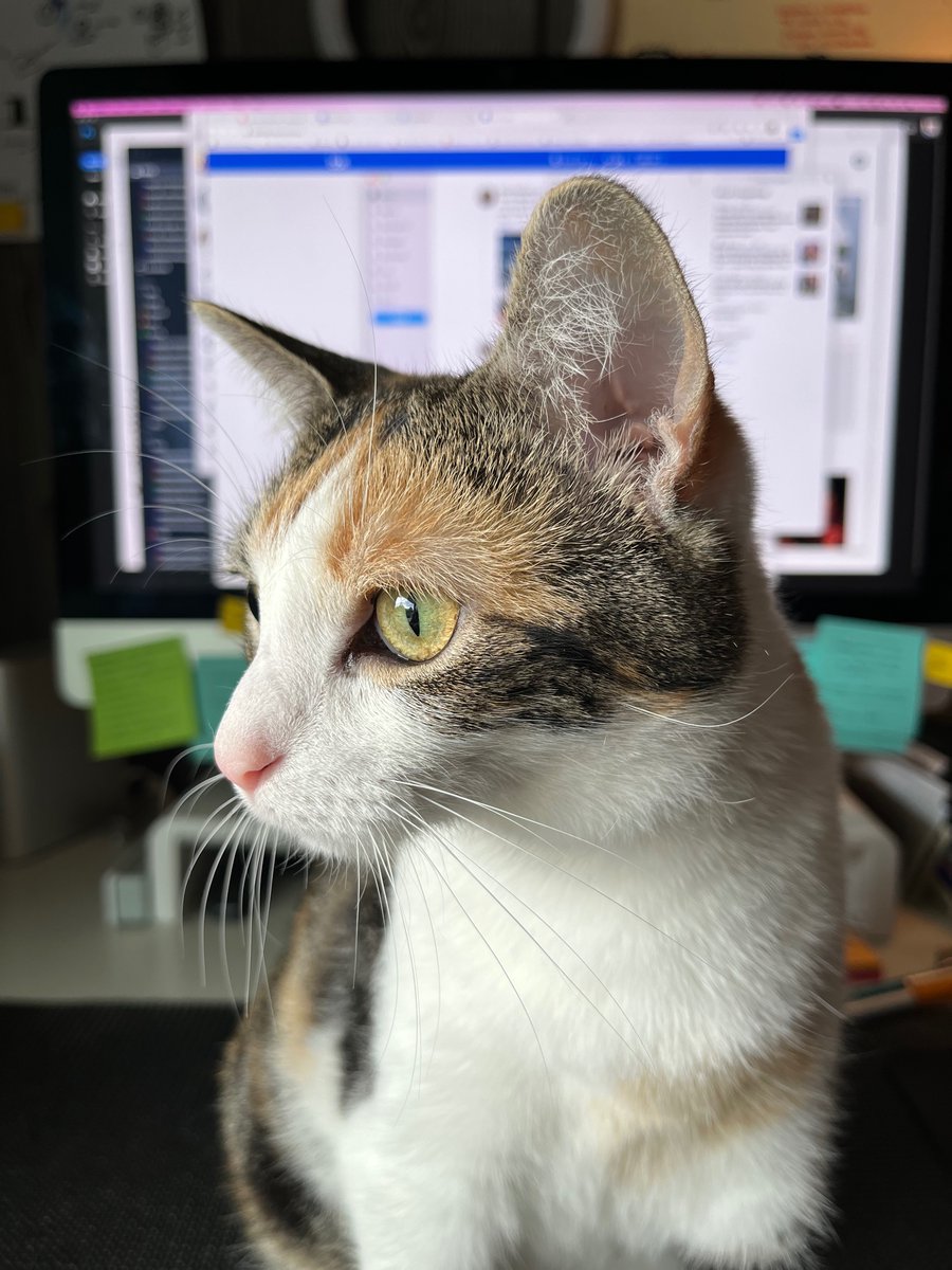 noggingrande's tweet photo. French Toast say, be happy everyone!! https://t.co/fXJmh2si3p