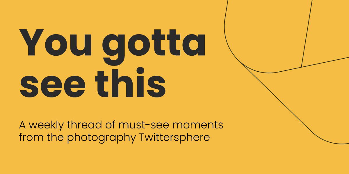 PhotoShelter tweet media