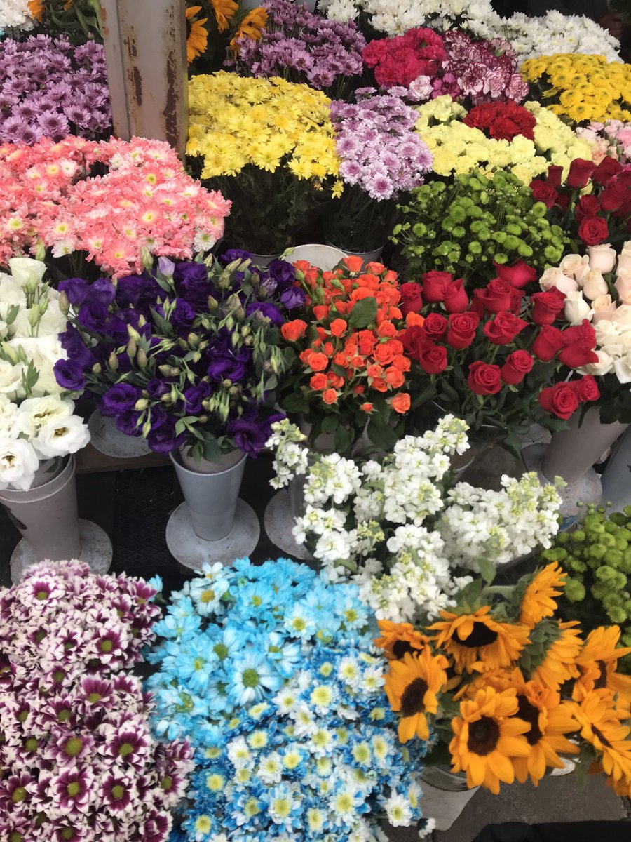 "Çünkü Kıblesi Sensin Güzelliğin, 
Bahçede Çiçekler Yüzünü Sana Döner"