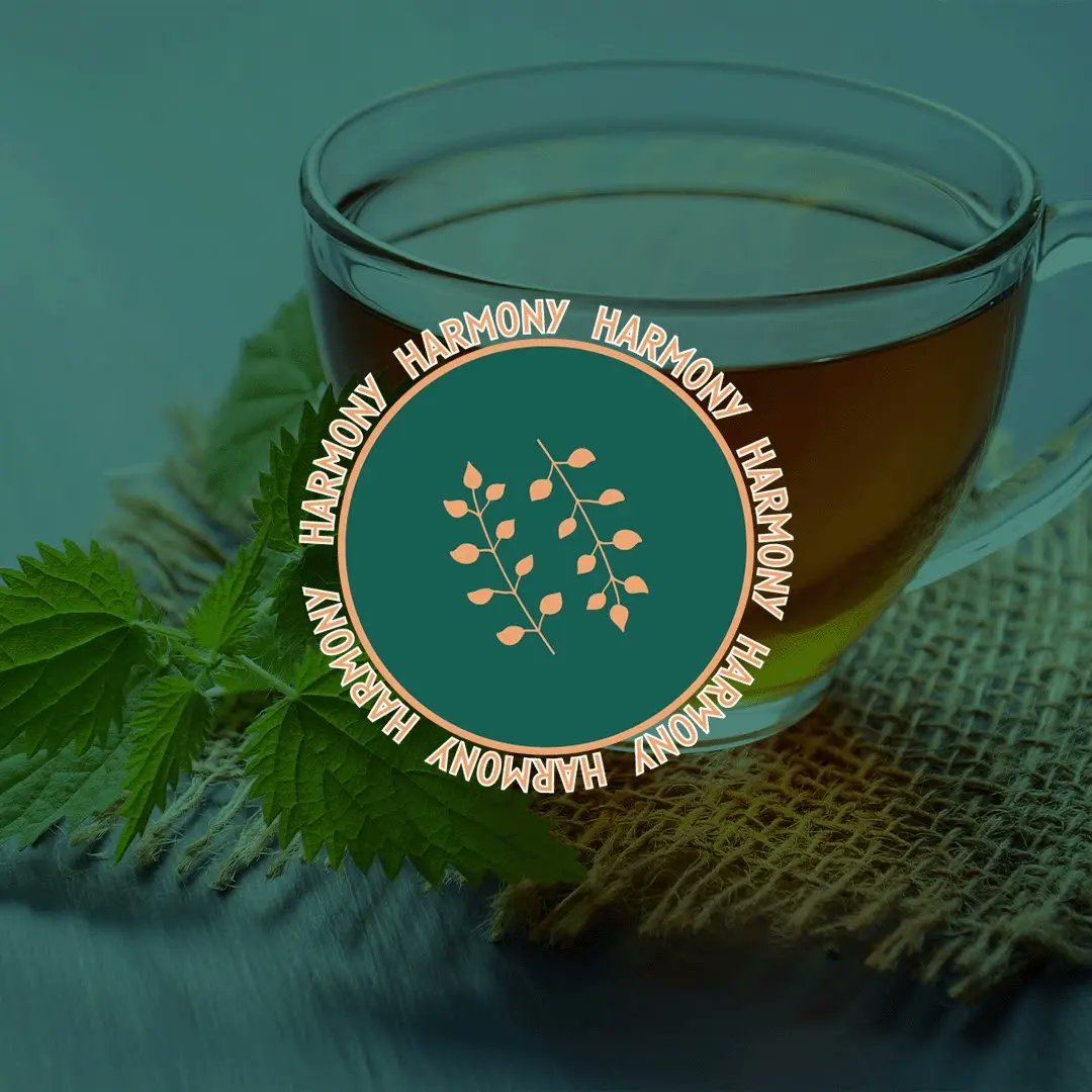 Sophieddesign's tweet photo. Harmony 🍵 Branding Part Two

#greentea #greentealover #greenteas #sundaytea #sundayvibes #designbriefs #passionproject #packagingdesign #cupoftea #teabusiness #graphicdesigntrends #graphicdesigner #graphicdesignerstafford #creativebizowner #mumssupportingmums #mumdesigner https://t.co/mgwykP4EzE