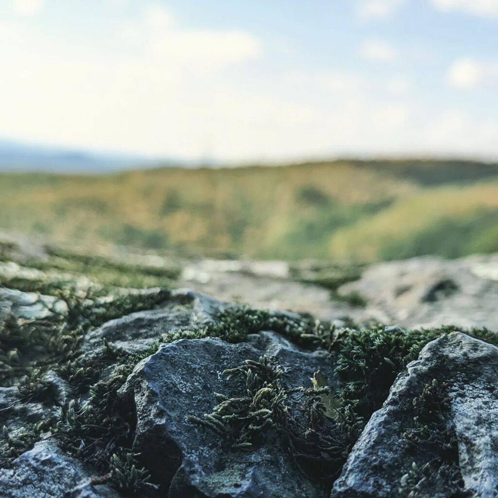 Andy's Overlook instagr.am/p/Cjdll4auEpV/