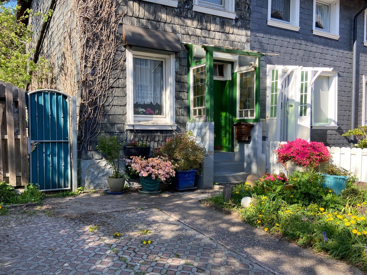Rotter Impressionen, Vorgartenidylle an der Tannenstraße #wuppertal