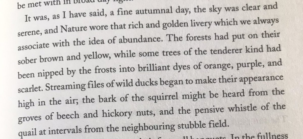 bernrome's tweet photo. This is truly the perfect autumn read. https://t.co/eEkYW7a3KN
