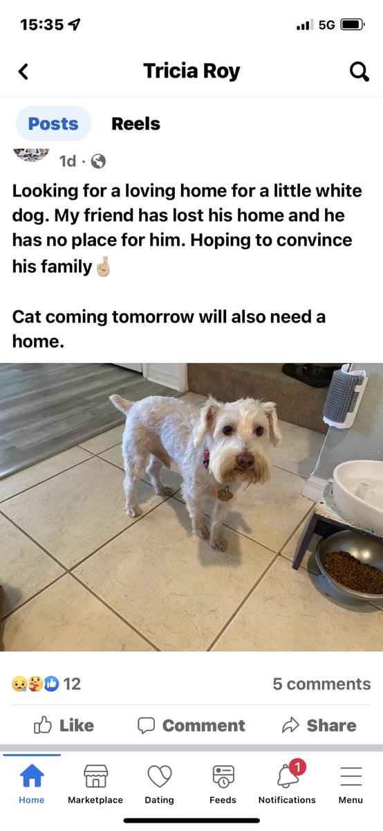 Nikolas Ventura (@sanibelnik) on Twitter photo 