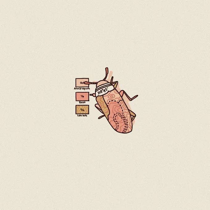 008. PLEASING FUNGUS BEETLE x US GEOLOGICAL SURVEY 