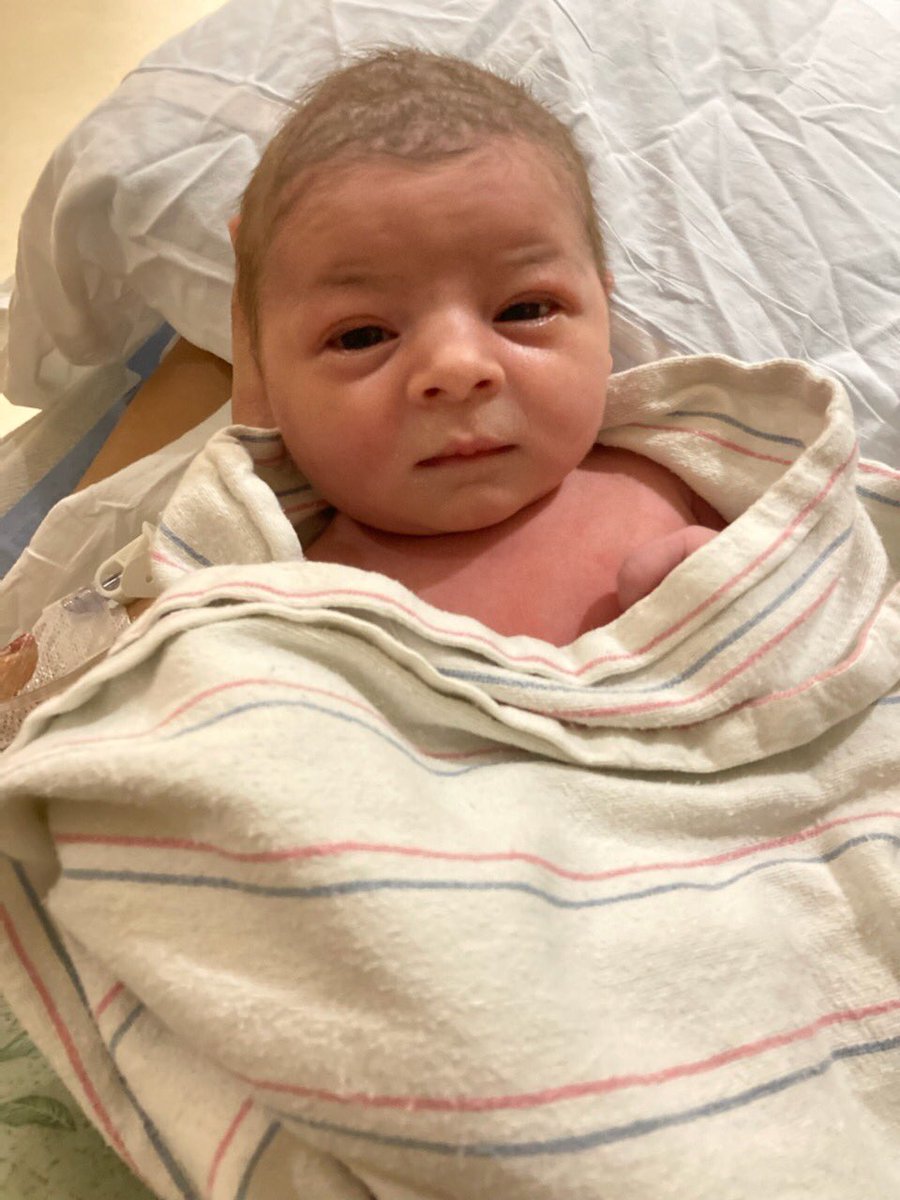 GroveMary's tweet photo. Meet our great granddaughter, Everly Joy, born Oct. 6th. Such a gift from God to our Grandson and Granddaughter. @GroveMary https://t.co/dgmHpFGeHL
