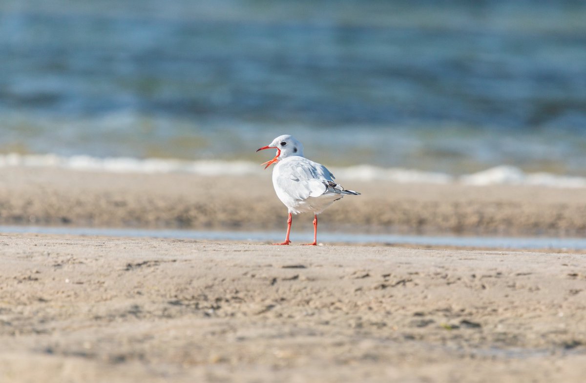 UnaxePictures tweet media