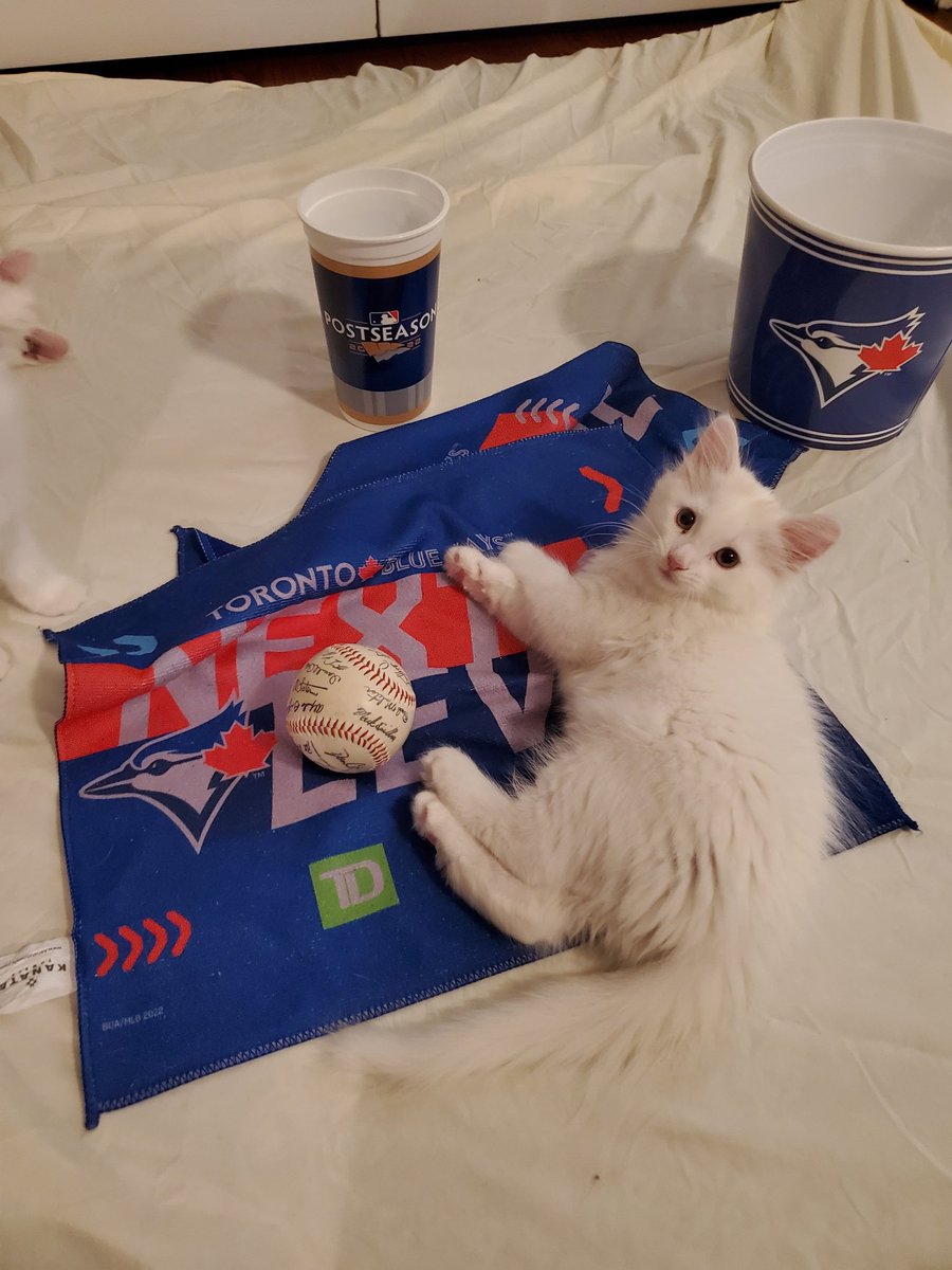 Ntario's tweet photo. #NEXTLEVEL Go Jays Go! @BlueJays https://t.co/C0kZcUhpe7