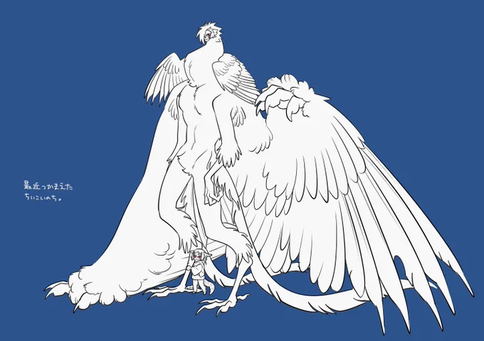 カラガラ 