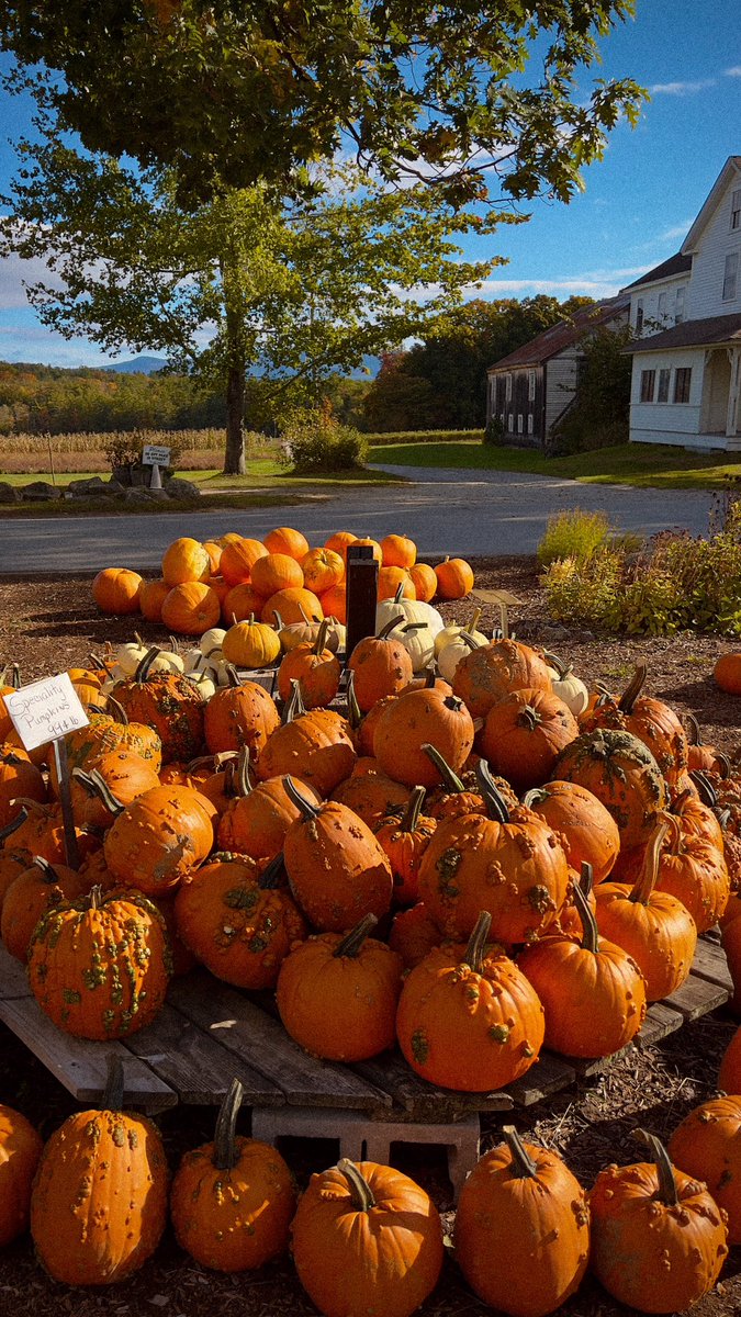Moulton Farm in Meredith, NH