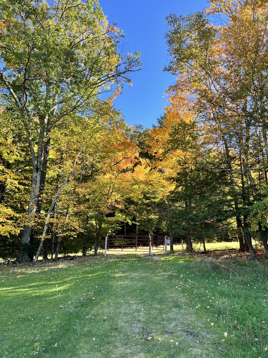 realDJSui's tweet photo. Upstate is beauti-fall. Also yah mix media launch! https://t.co/mwR5xb6ACT