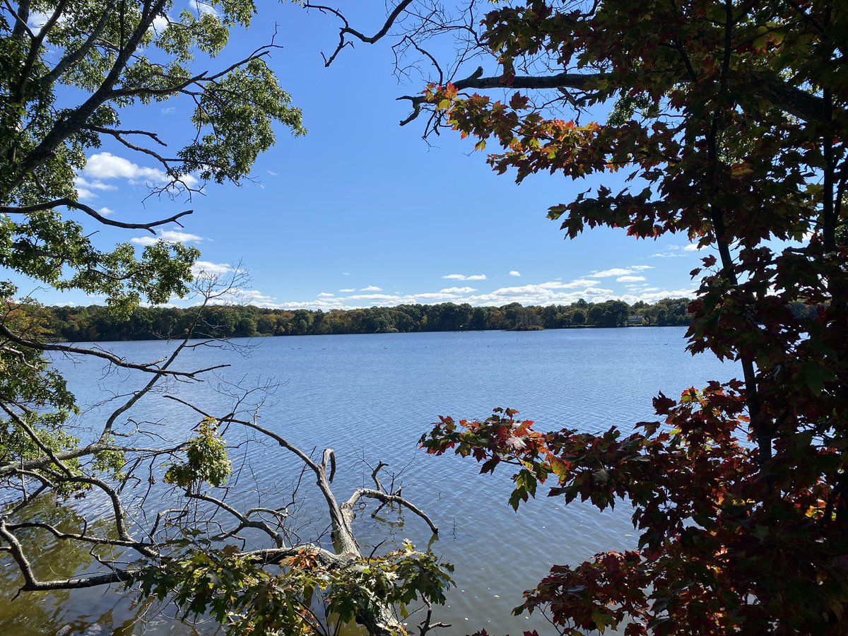 Wafik S. El-Deiry, MD, PhD, FACP tweet media