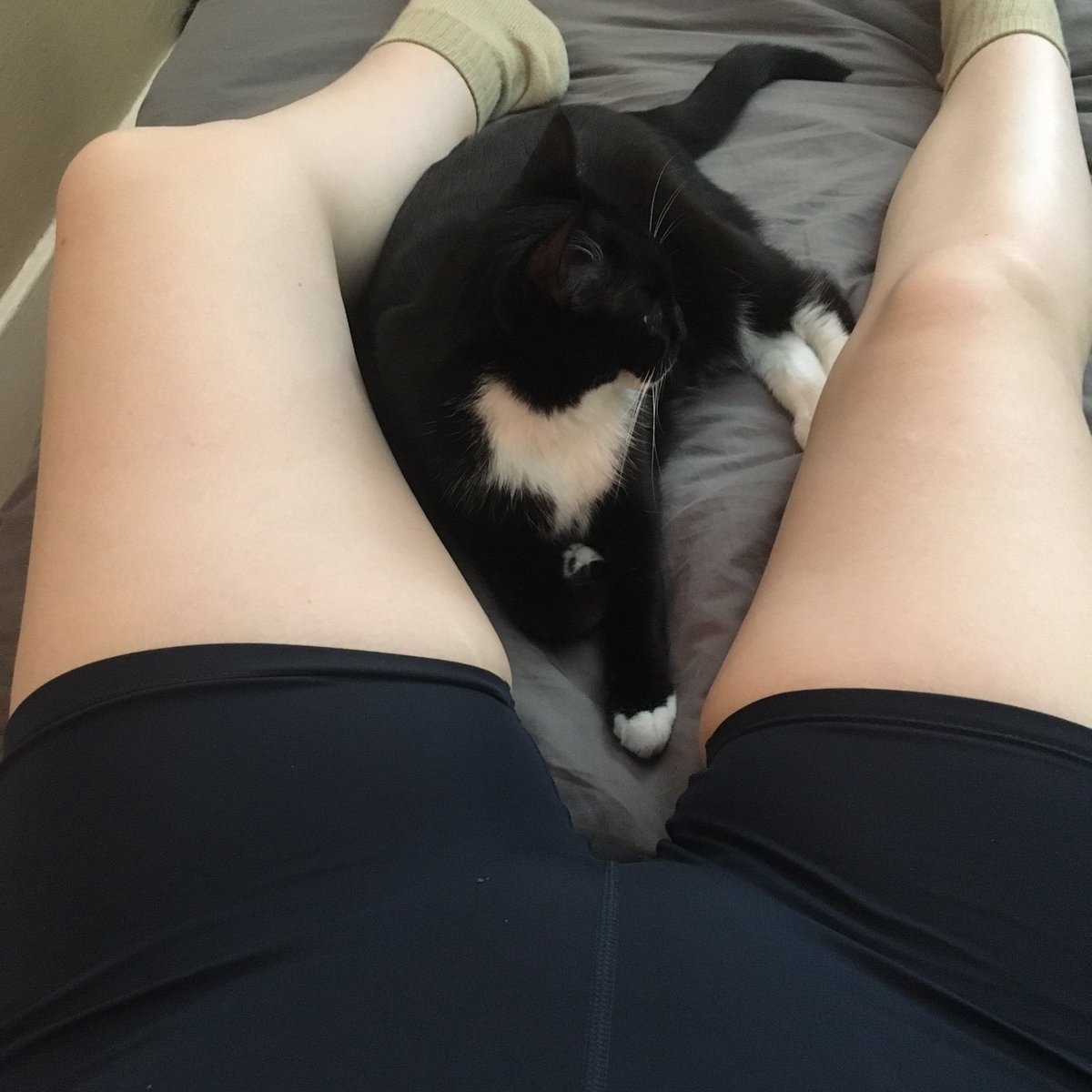 SunnySideUp669's tweet photo. I'm launching a special 50% discount on my WHOLE page because I need to buy cat food! Seriously . Feed my pussy 😈 and watch all my videos so far...👀 New content every week. #notabot #imarealgirl #realwet #of #sellingcontent #ofgirl
https://t.co/mFXDmiIFYd https://t.co/tCisn1a3On