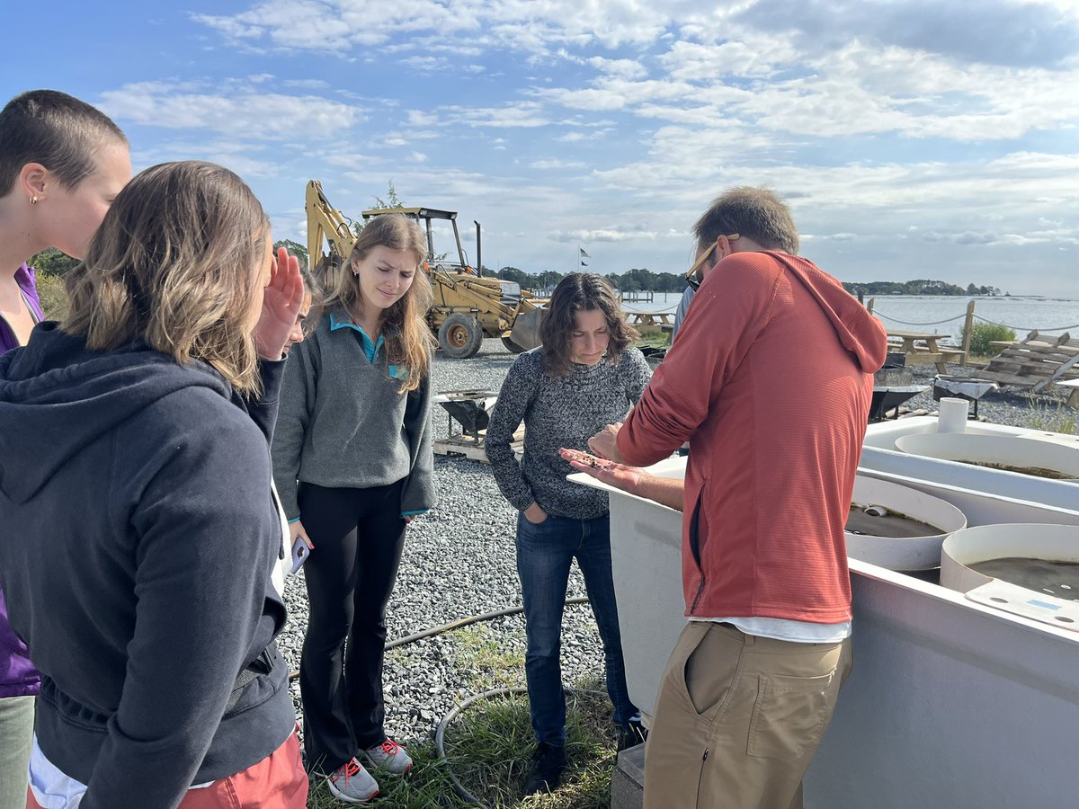 Annie Schatz, Ph.D. (She/Her) (@schatzofscience) on Twitter photo Students got to put some of what we’ve been learning in my Aquaculture & Sustainability class <a href="/williamandmary/">William & Mary</a> into context by touring <a href="/OSH_Inc/">Oyster Seed Holdings</a> today with Mike Congrove 🦪🦪. It was a great time! Students got to put some of what we’ve been learning in my Aquaculture & Sustainability class <a href="/williamandmary/">William & Mary</a> into context by touring <a href="/OSH_Inc/">Oyster Seed Holdings</a> today with Mike Congrove 🦪🦪. It was a great time!