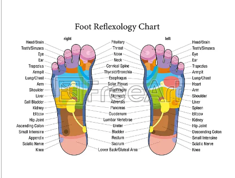 FreeArtDotCom's tweet photo. The NNY Marathon is the inspiration for our featured prints this week.   New York Skyscrapers &amp; Foot Reflexology Chart are 11” x 14” &amp; FREE with $2.99 S&amp;H from now through October 15th.

https://t.co/gabJUyC49l 
https://t.co/4rYIWkJlst https://t.co/YPPQcMp36i