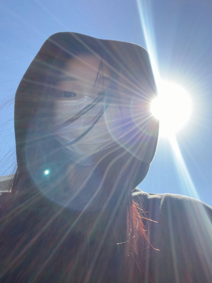 squirrelslee's tweet photo. sunny https://t.co/9ThFM57oh2