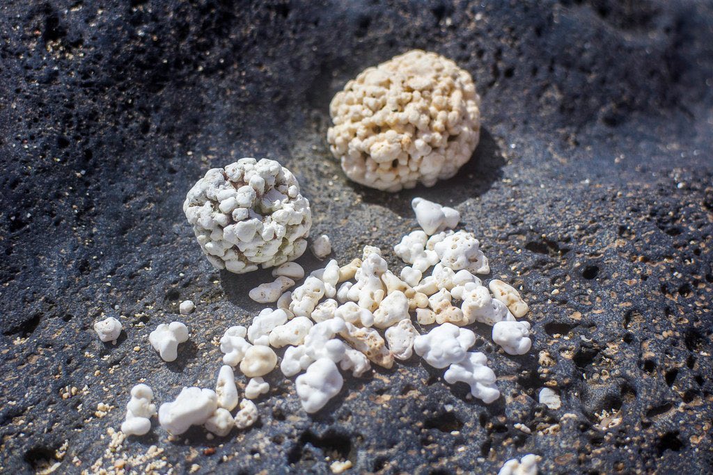 CPJannyBarrera's tweet photo. PopCorn Beach, la maldición de la popularidad
La primera vez que esta maravilla natural apareció en redes sociales fue acompañada del hashtag #PopCornBeach. 3/5 https://t.co/fagTPFIXVk