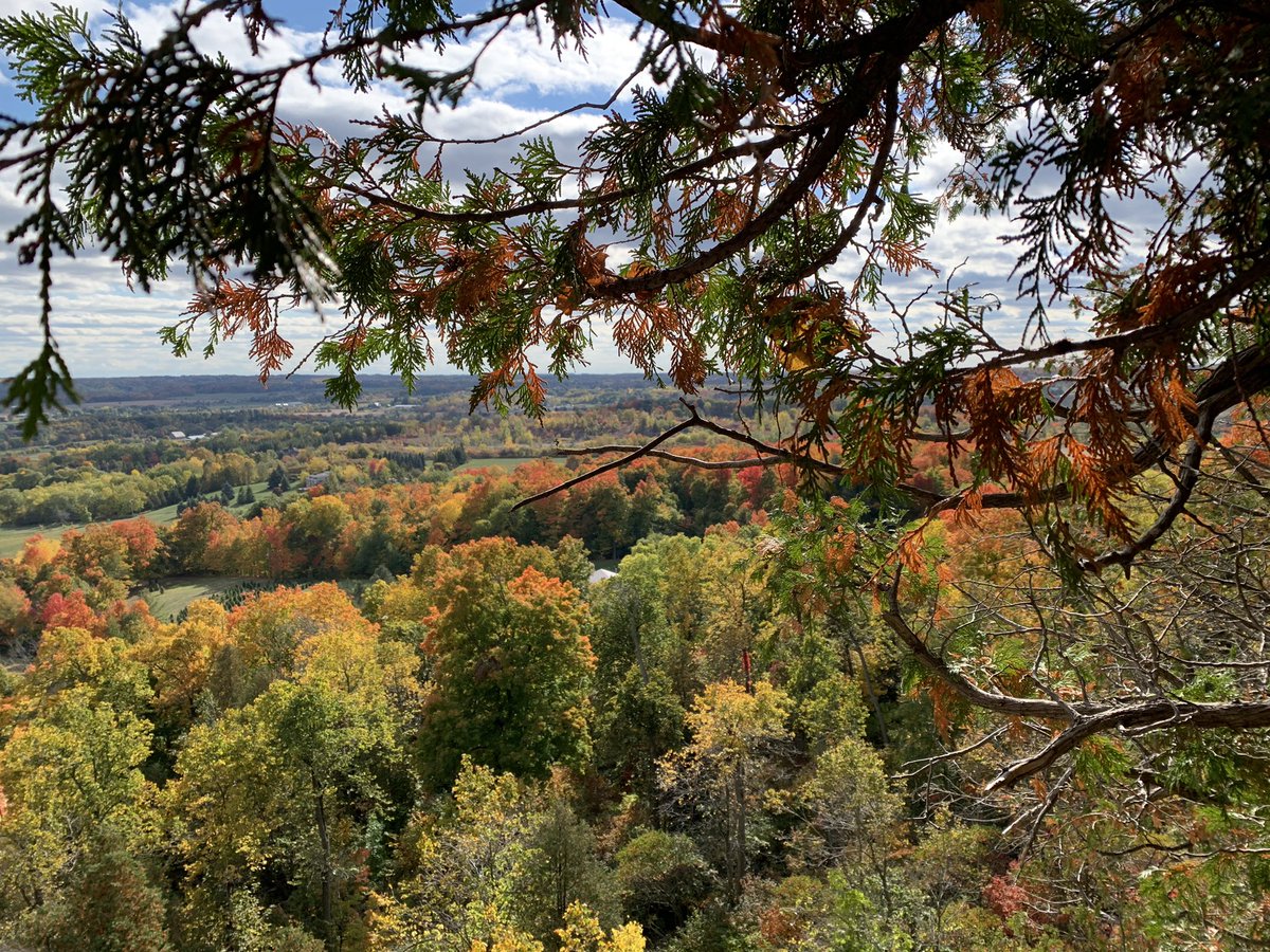 xenon21's tweet photo. It’s official… fall colours are stunning!!! #rattlesnakepoint @ConservHalton https://t.co/tapXUpW27q